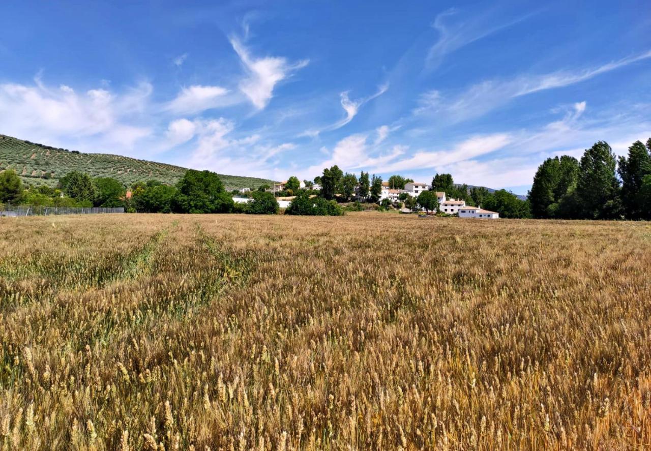 Complejo Apartamentos Rurales Molino De Abajo Ribera Baja  Esterno foto