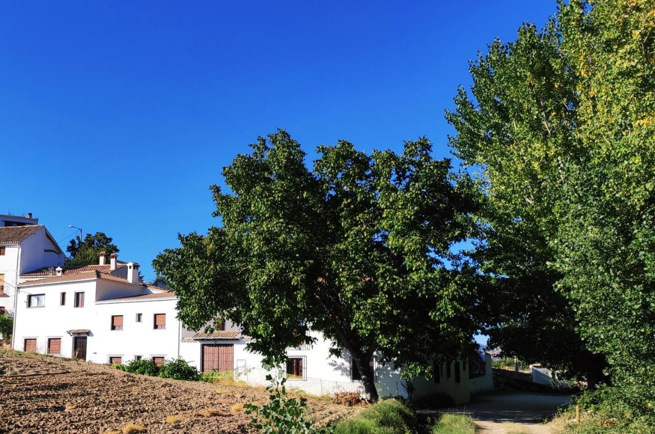 Complejo Apartamentos Rurales Molino De Abajo Ribera Baja  Esterno foto