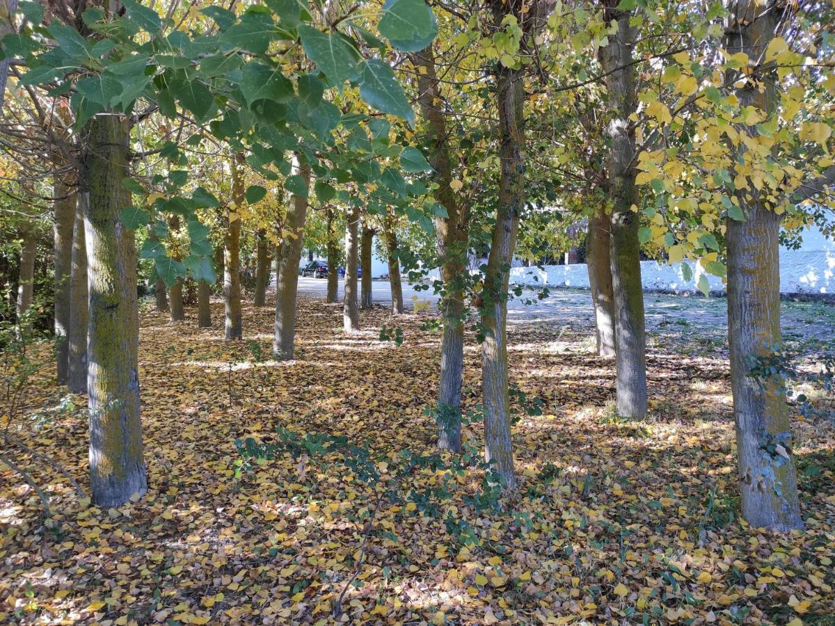 Complejo Apartamentos Rurales Molino De Abajo Ribera Baja  Esterno foto