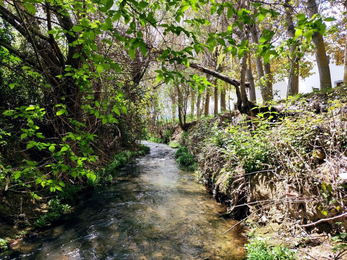 Complejo Apartamentos Rurales Molino De Abajo Ribera Baja  Esterno foto